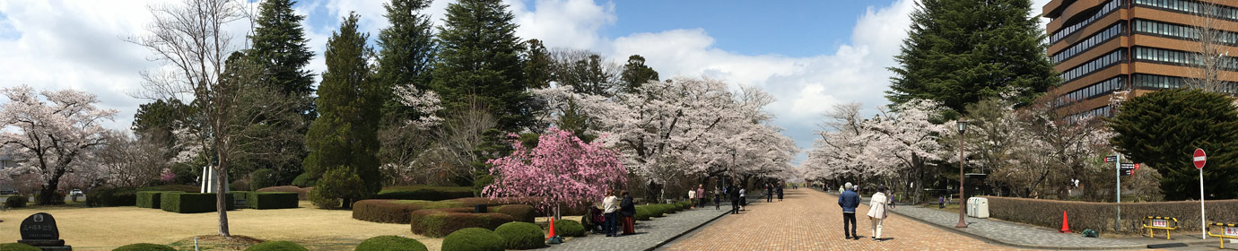 日本大学工学部 校友会